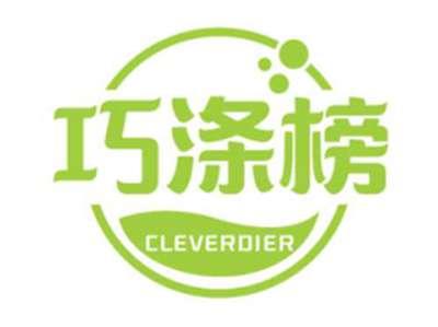 巧涤榜CLEVERDIER