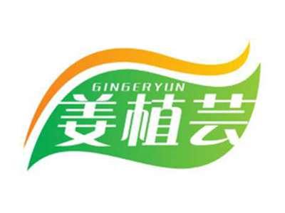 姜植芸gingeryun
