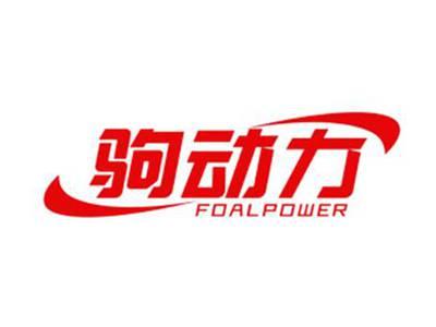 驹动力FoalPower