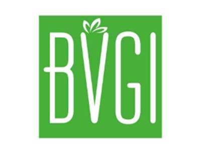 BVGI