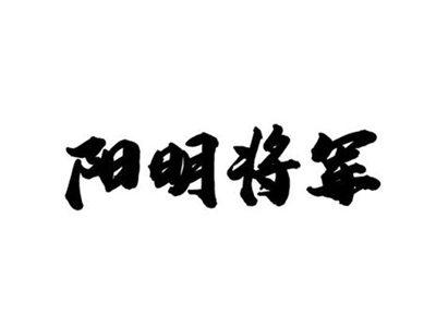 阳明将军