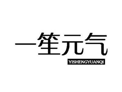 一笙元气