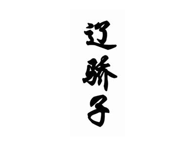 辽骄子