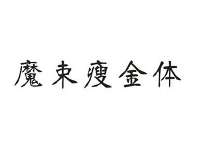魔束瘦金体