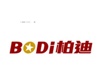 柏迪6/9类同名
