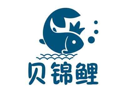 贝锦鲤