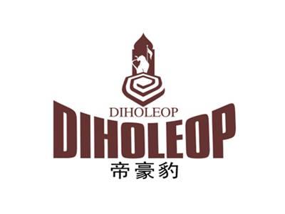 帝豪豹DIHOLEOP+图形