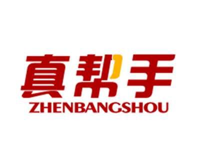 真帮手