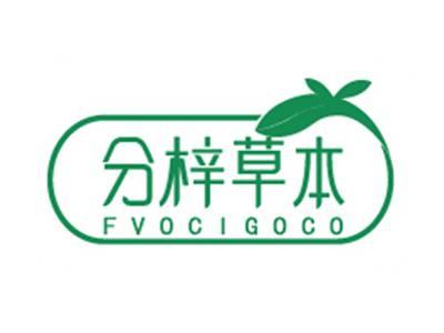 分梓草本FVOCIGOCO