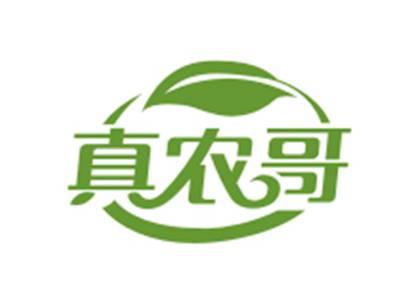 真农哥29/30类同名