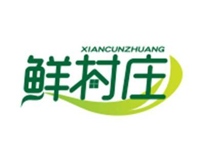 鲜村庄29/30/31类同名