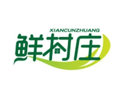 鲜村庄29/30/31类同名