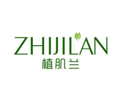 植肌兰
