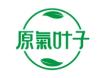 原气叶子