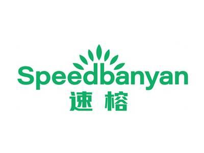 速榕SPEEDBANYAN