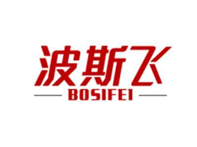 波斯飞