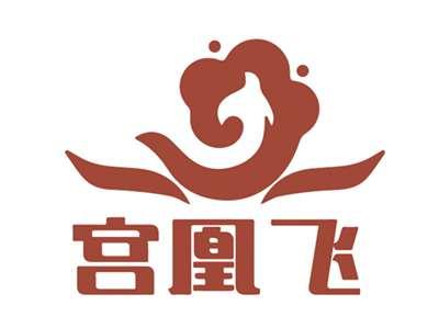 宫凰飞