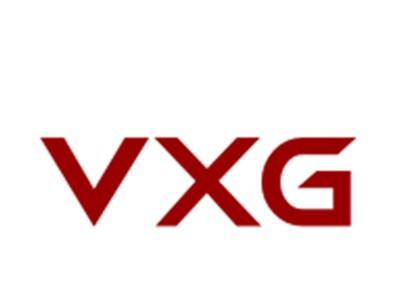 VXG
