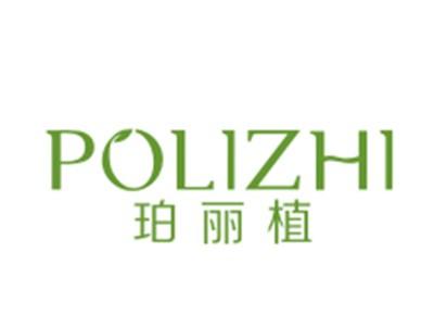 珀丽植