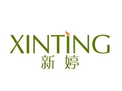 新婷