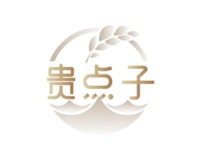 贵点子