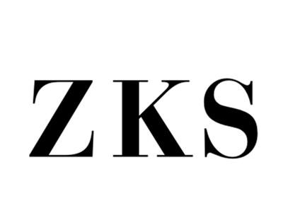 ZKS3/18/25类同名
