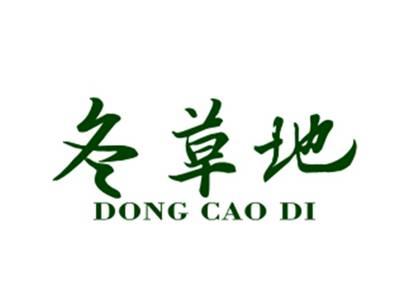 冬草地