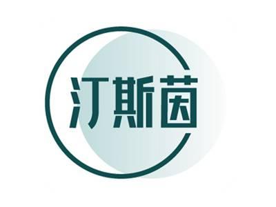 汀斯茵