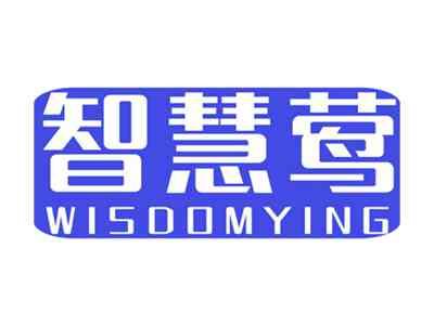 智慧莺WISDOMYING
