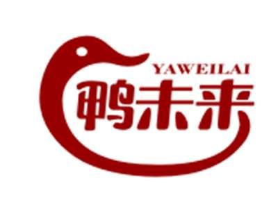 鸭未来29/43类同名