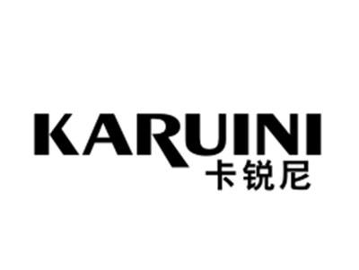 卡锐尼