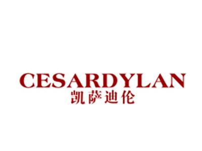 凯萨迪伦