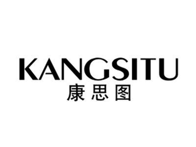 康思图