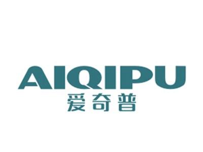 爱奇普