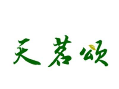 天茗颂