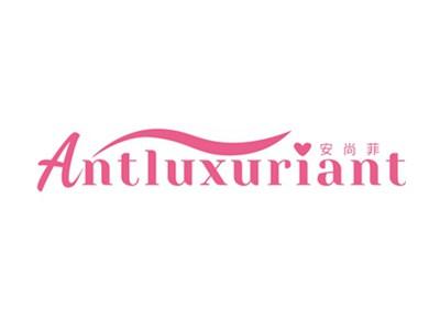 安尚菲ANTLUXURIANT