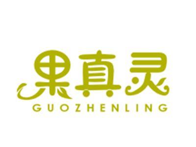 果真灵31/32类同名