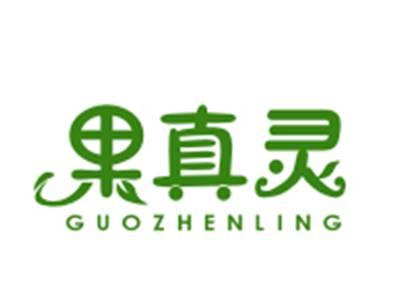 果真灵31/32类同名