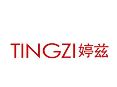 婷兹