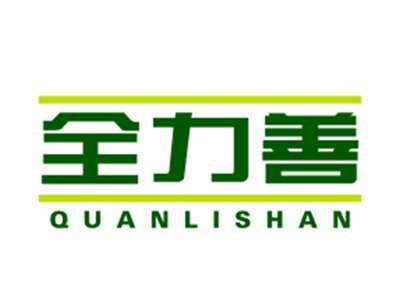 全力善