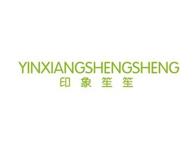 印象笙笙