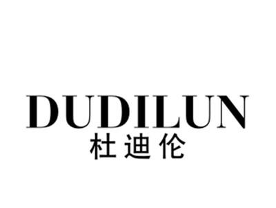 杜迪伦