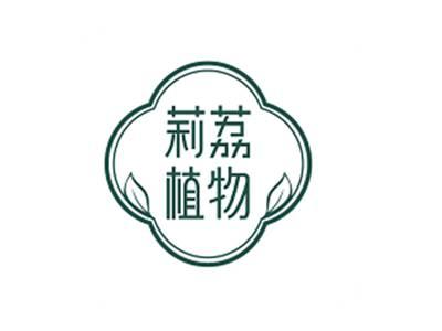 莉荔植物