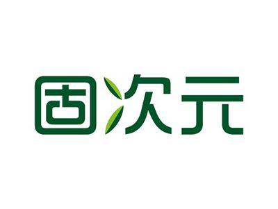 固次元