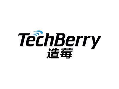 造莓TECHBERRY