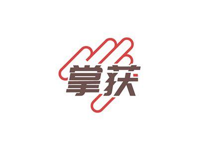 掌获
