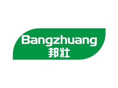 邦壮
