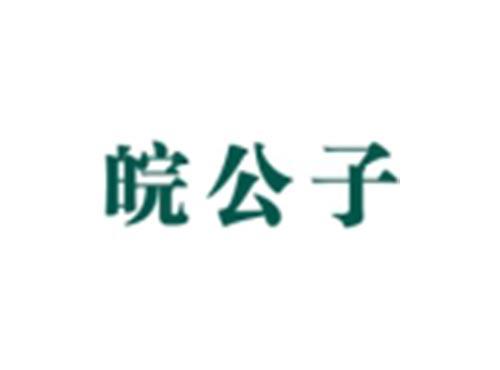 皖公子
