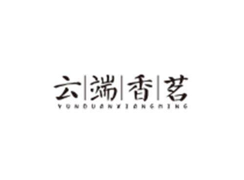 云端香茗