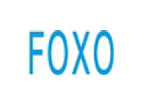 FOXO